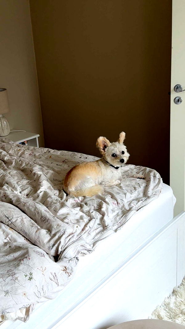 mathilda_bergs image ~ Altpins