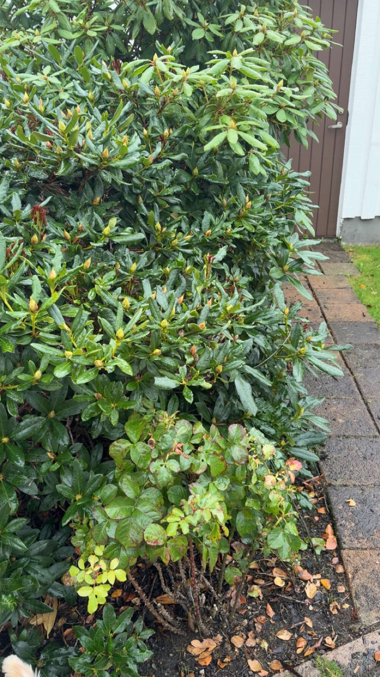 mathilda_bergs snapchat image archive image