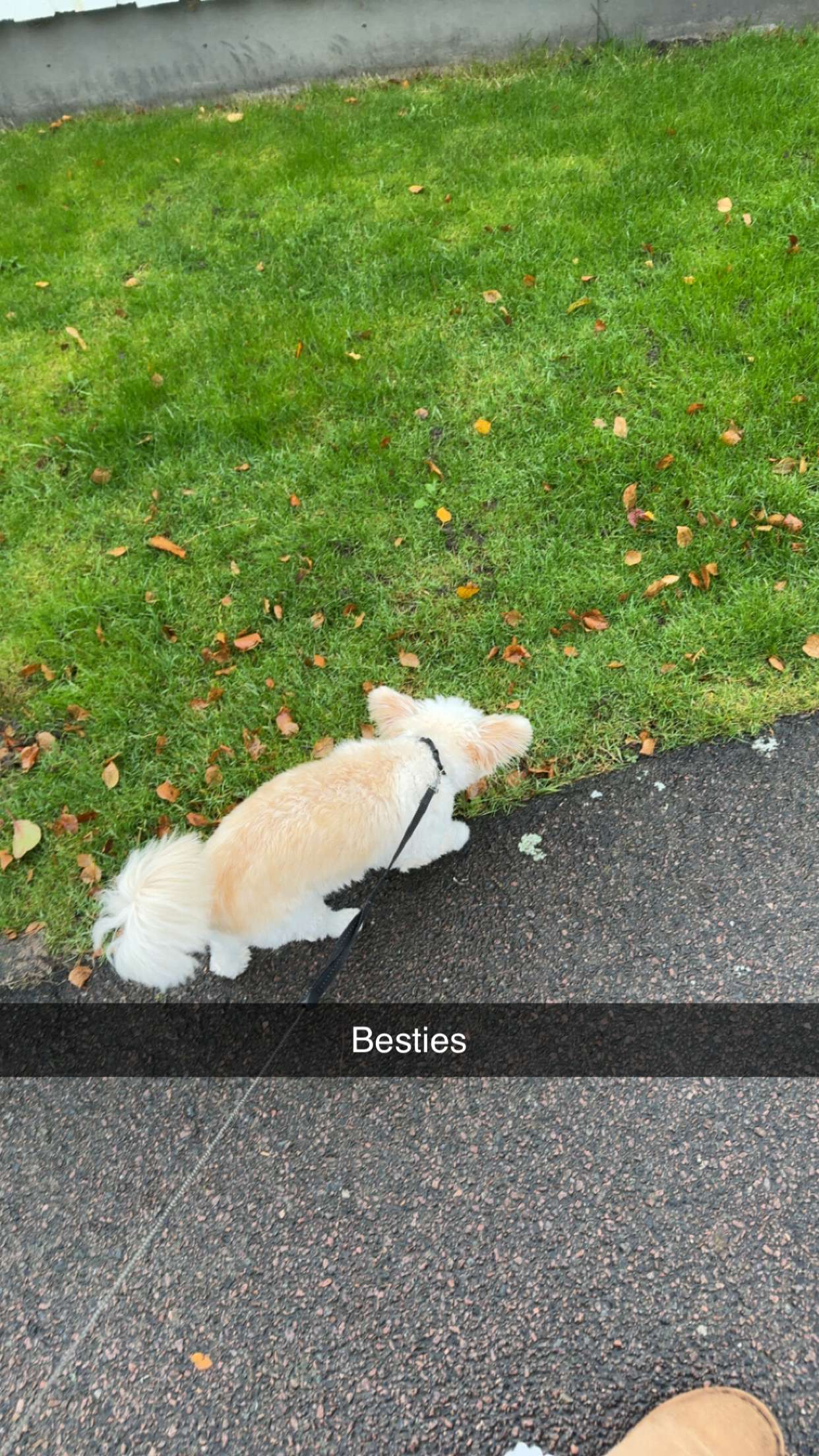 mathilda_bergs snapchat image archive image