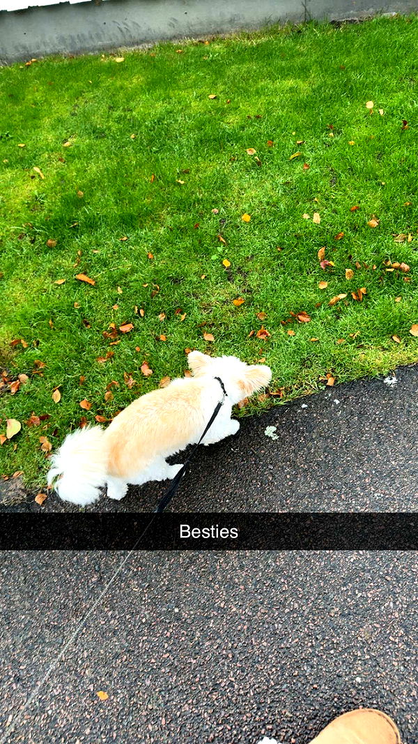 mathilda_bergs image ~ Altpins