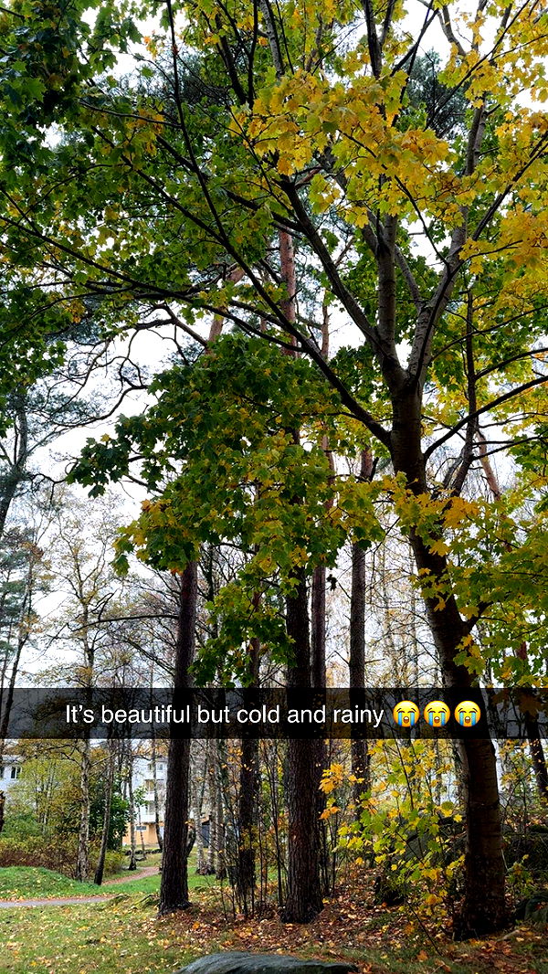 mathilda_bergs image ~ Altpins