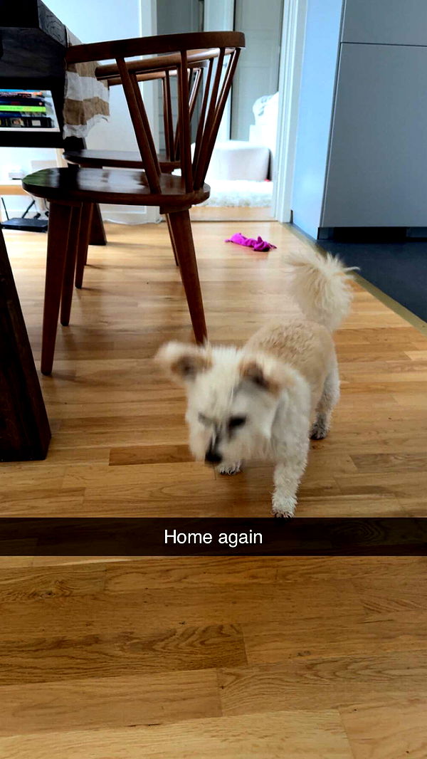 mathilda_bergs image ~ Altpins