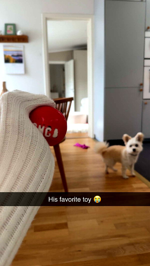 mathilda_bergs image ~ Altpins