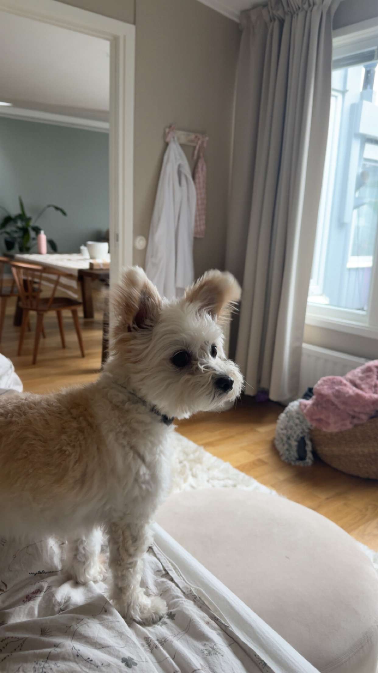 mathilda_bergs snapchat image archive image