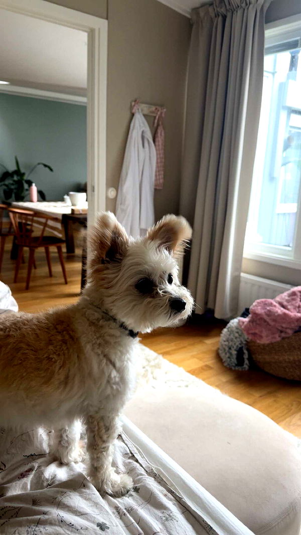 mathilda_bergs image ~ Altpins