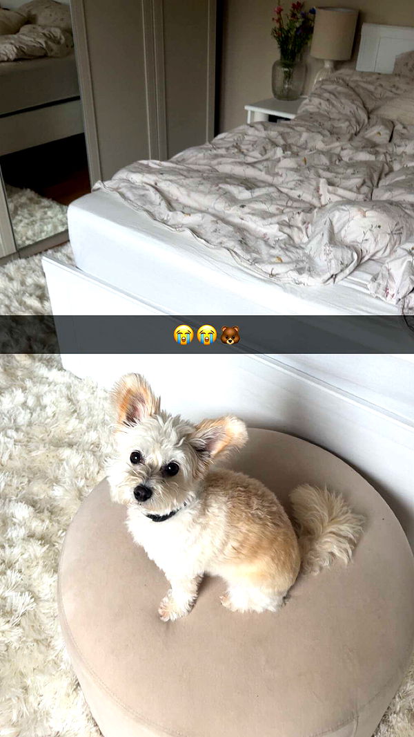 mathilda_bergs image ~ Altpins