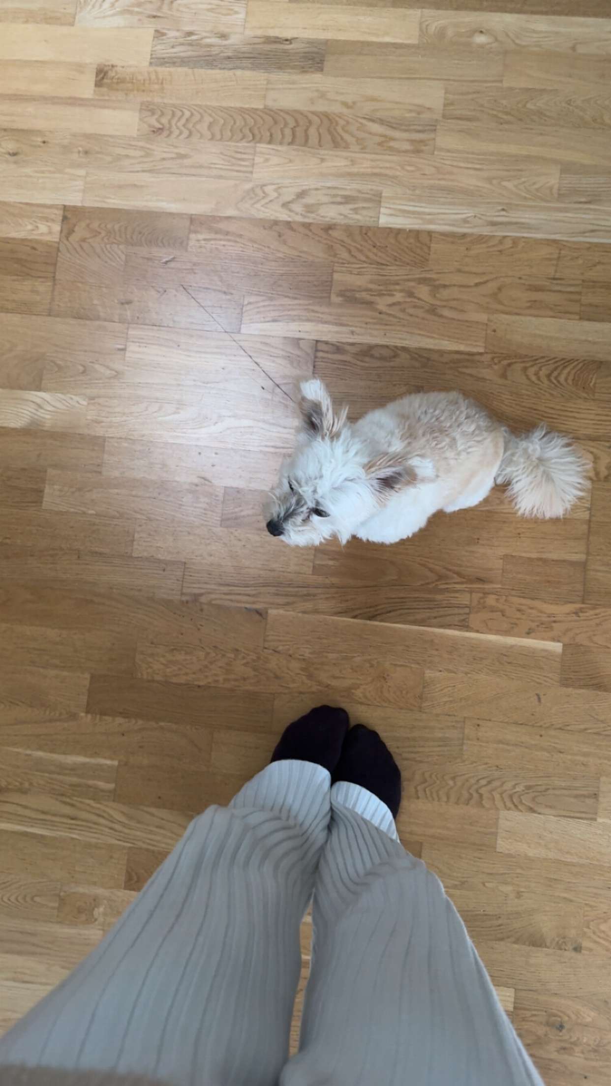 mathilda_bergs snapchat image archive image