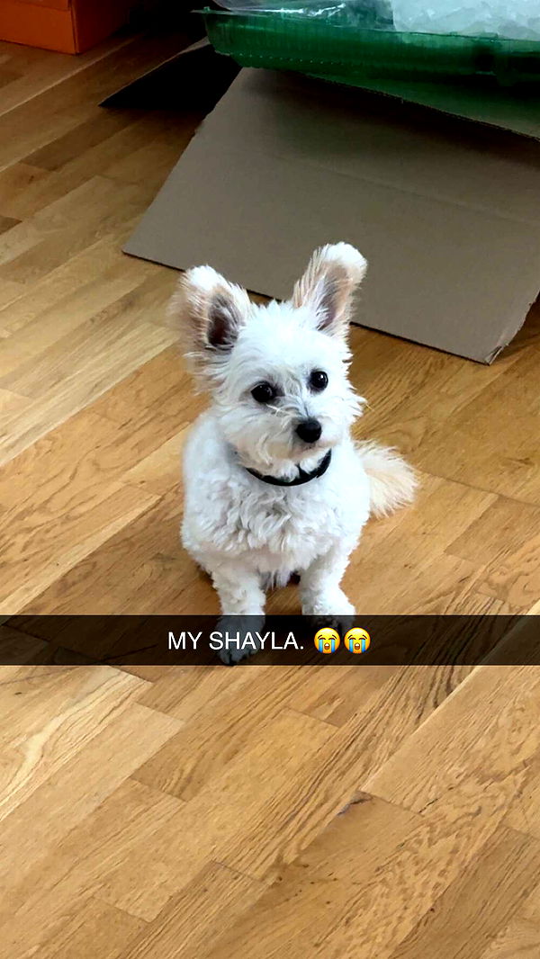 mathilda_bergs image ~ Altpins