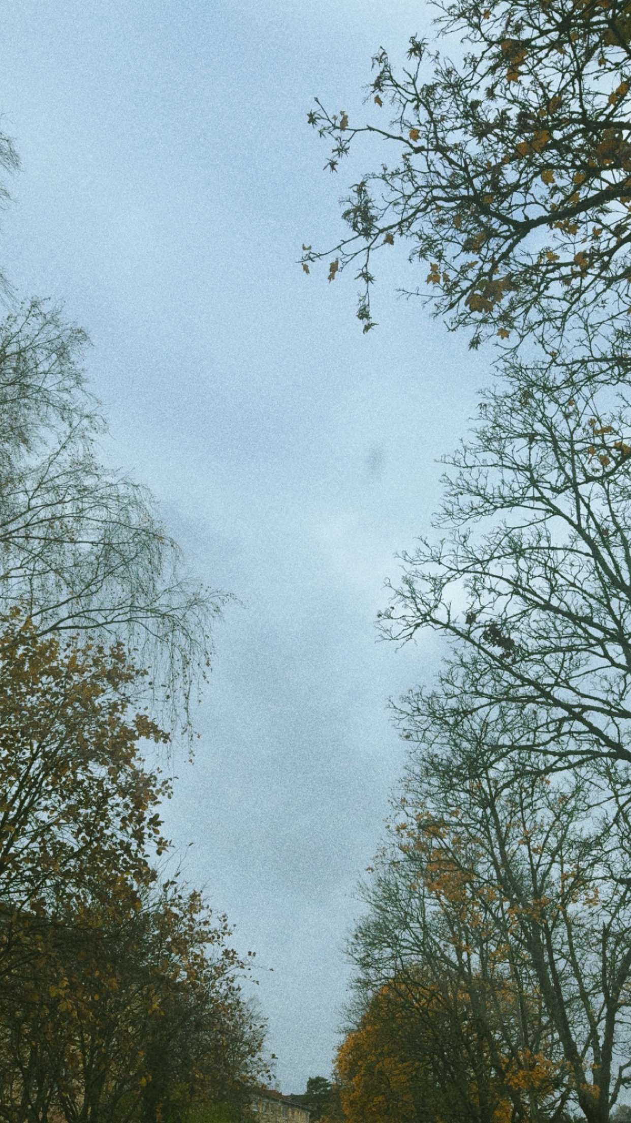 mathilda_bergs snapchat image archive image