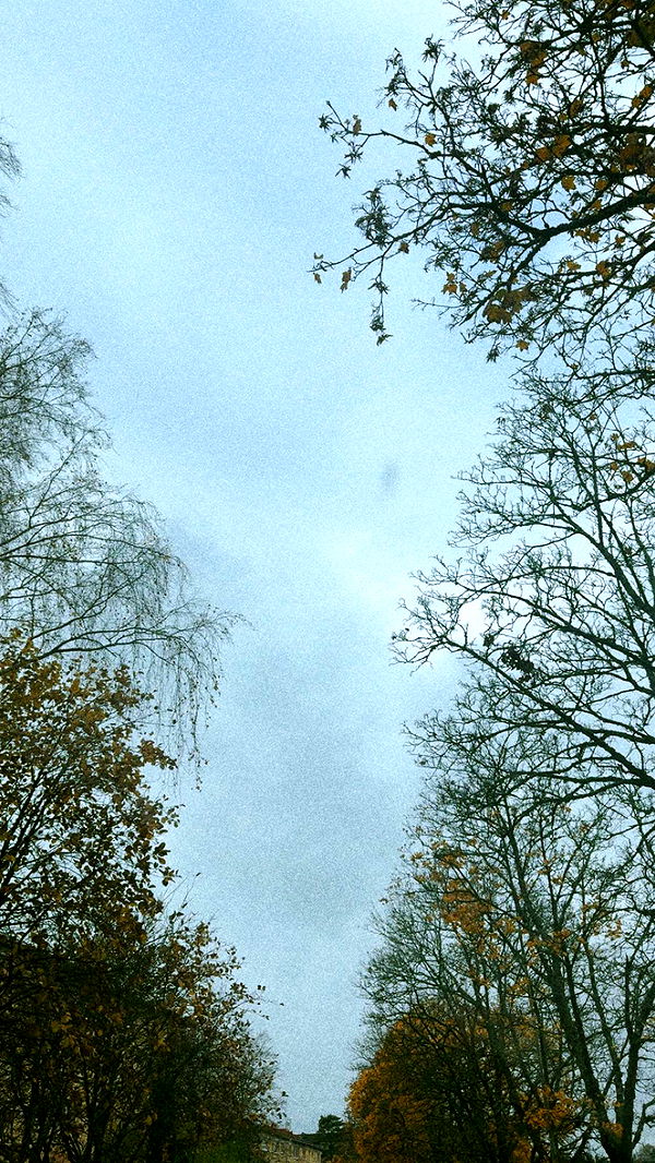 mathilda_bergs image ~ Altpins