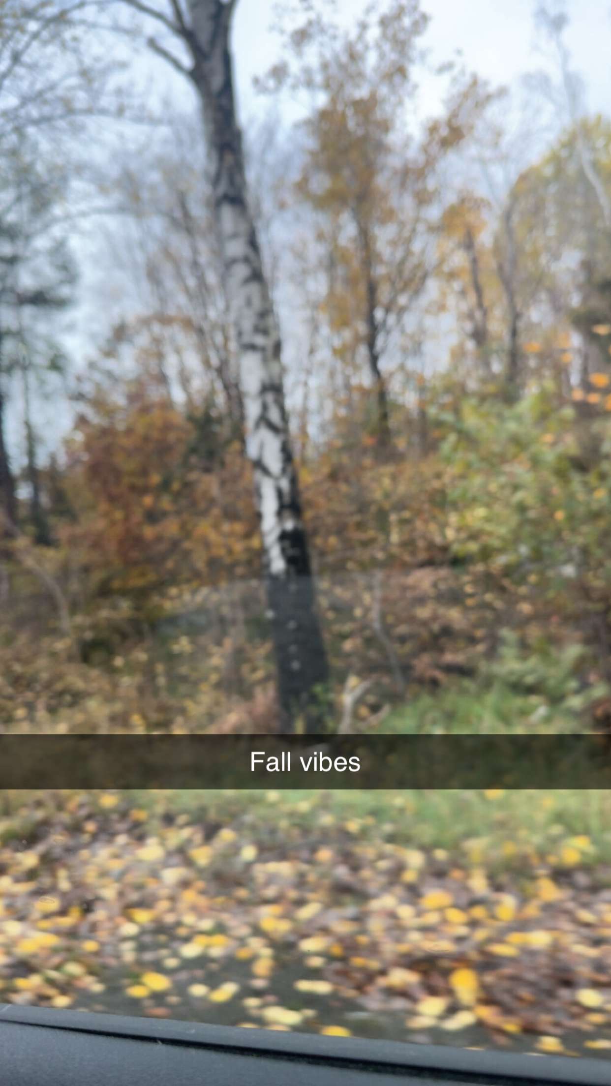 mathilda_bergs snapchat image archive image