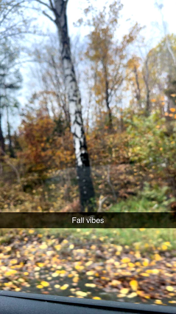 mathilda_bergs image ~ Altpins