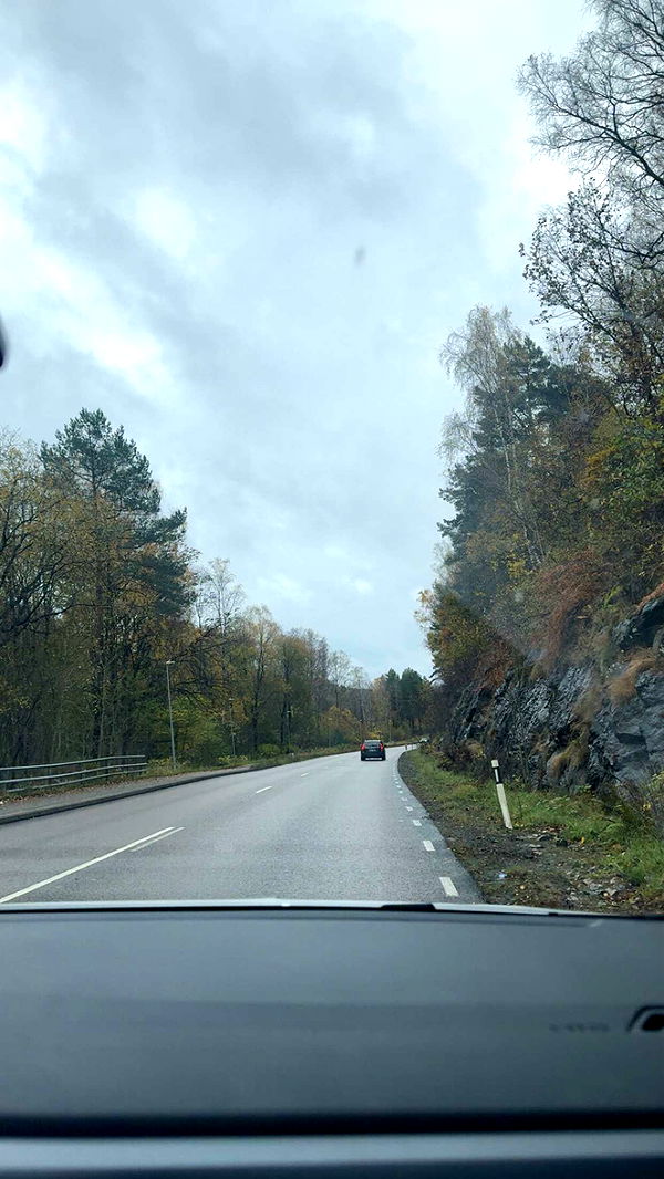 mathilda_bergs image ~ Altpins