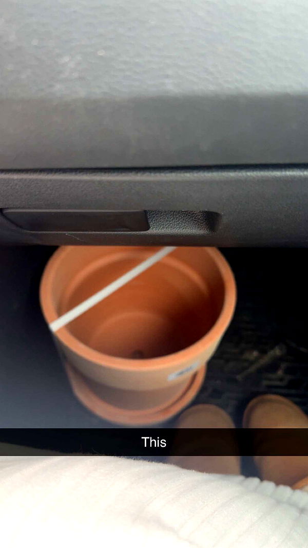 mathilda_bergs image ~ Altpins