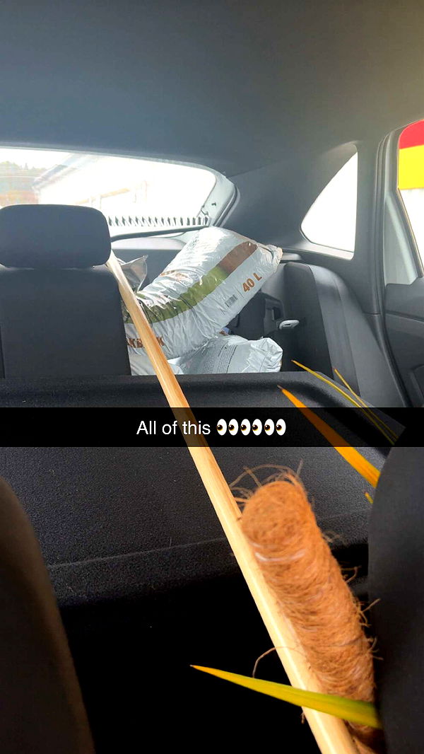 mathilda_bergs image ~ Altpins