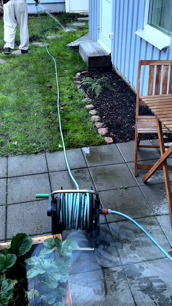 mathilda_bergs image ~ Altpins