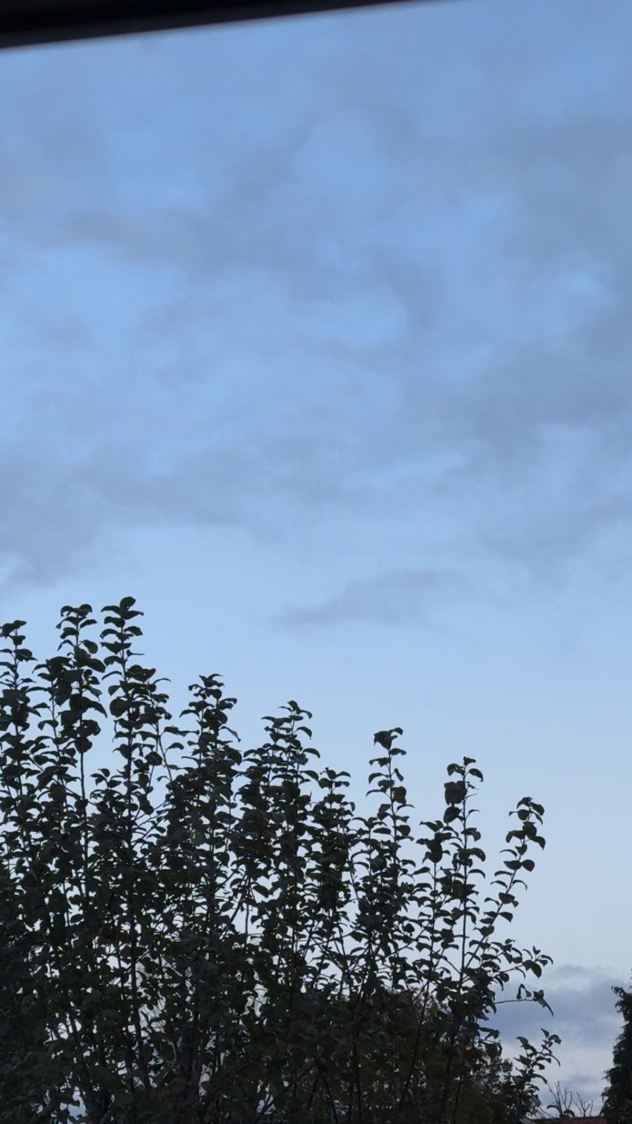 mathilda_bergs snapchat image archive image