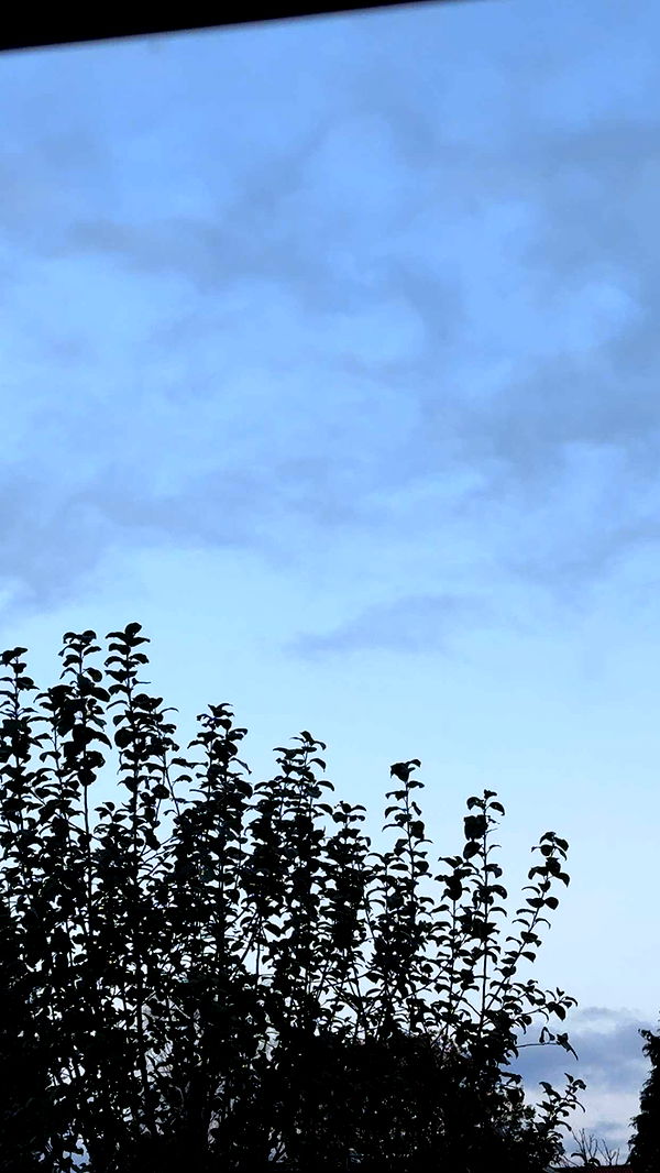 mathilda_bergs image ~ Altpins