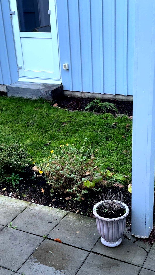 mathilda_bergs image ~ Altpins