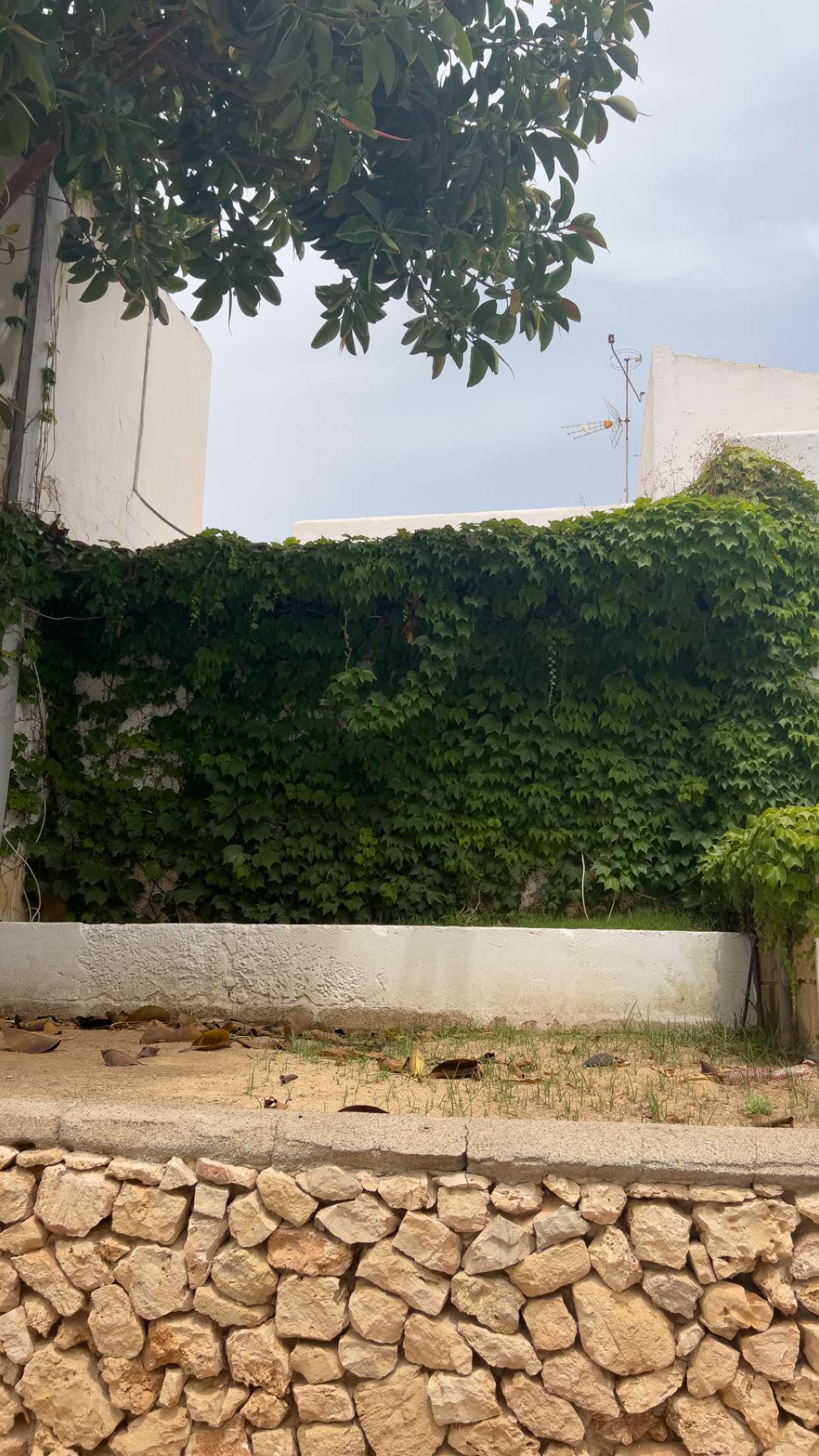 mathilda_bergs snapchat image archive image