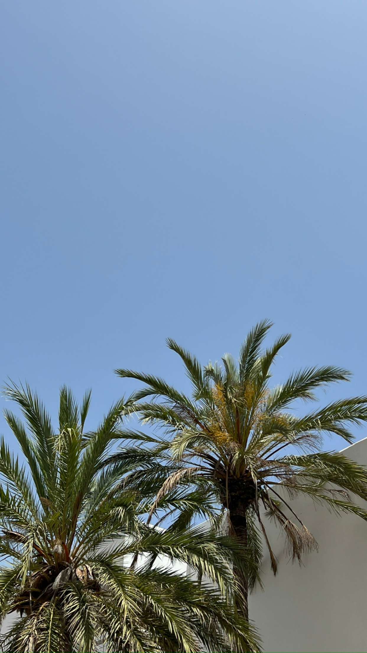 mathilda_bergs snapchat image archive image