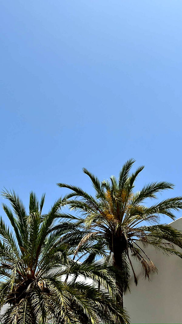 mathilda_bergs image ~ Altpins