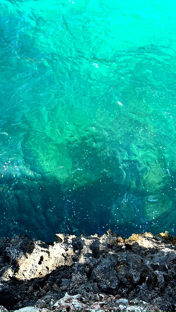 mathilda_bergs image ~ Altpins