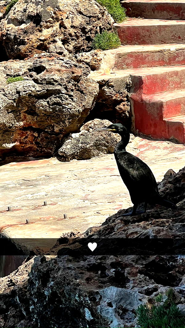 mathilda_bergs image ~ Altpins