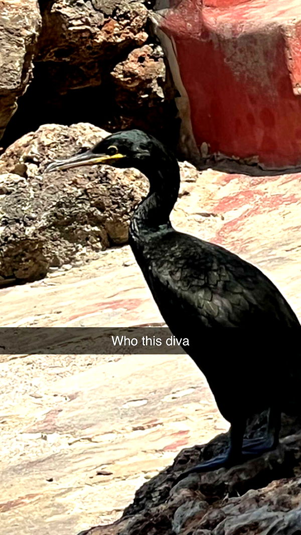 mathilda_bergs image ~ Altpins