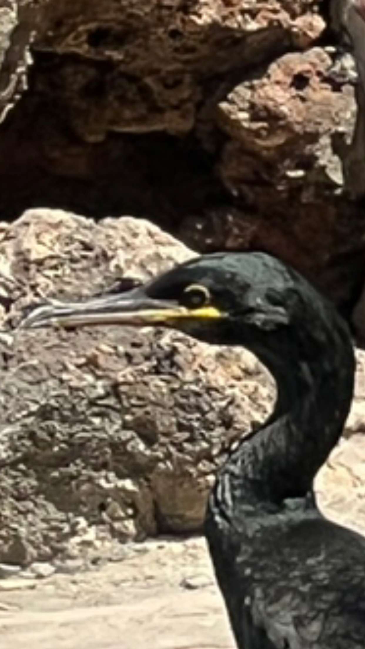 mathilda_bergs snapchat image archive image