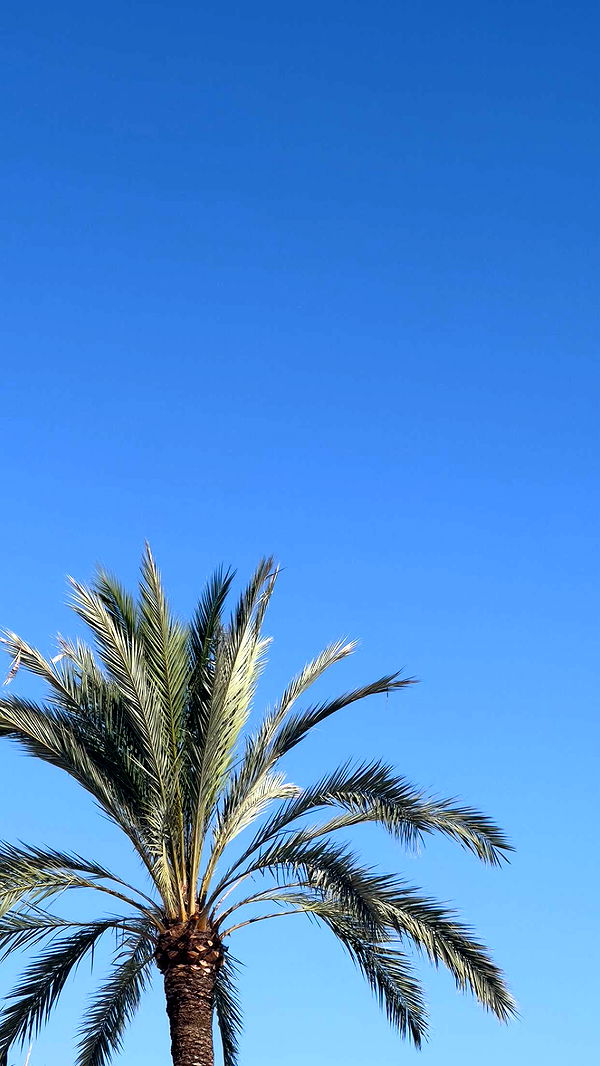 mathilda_bergs image ~ Altpins