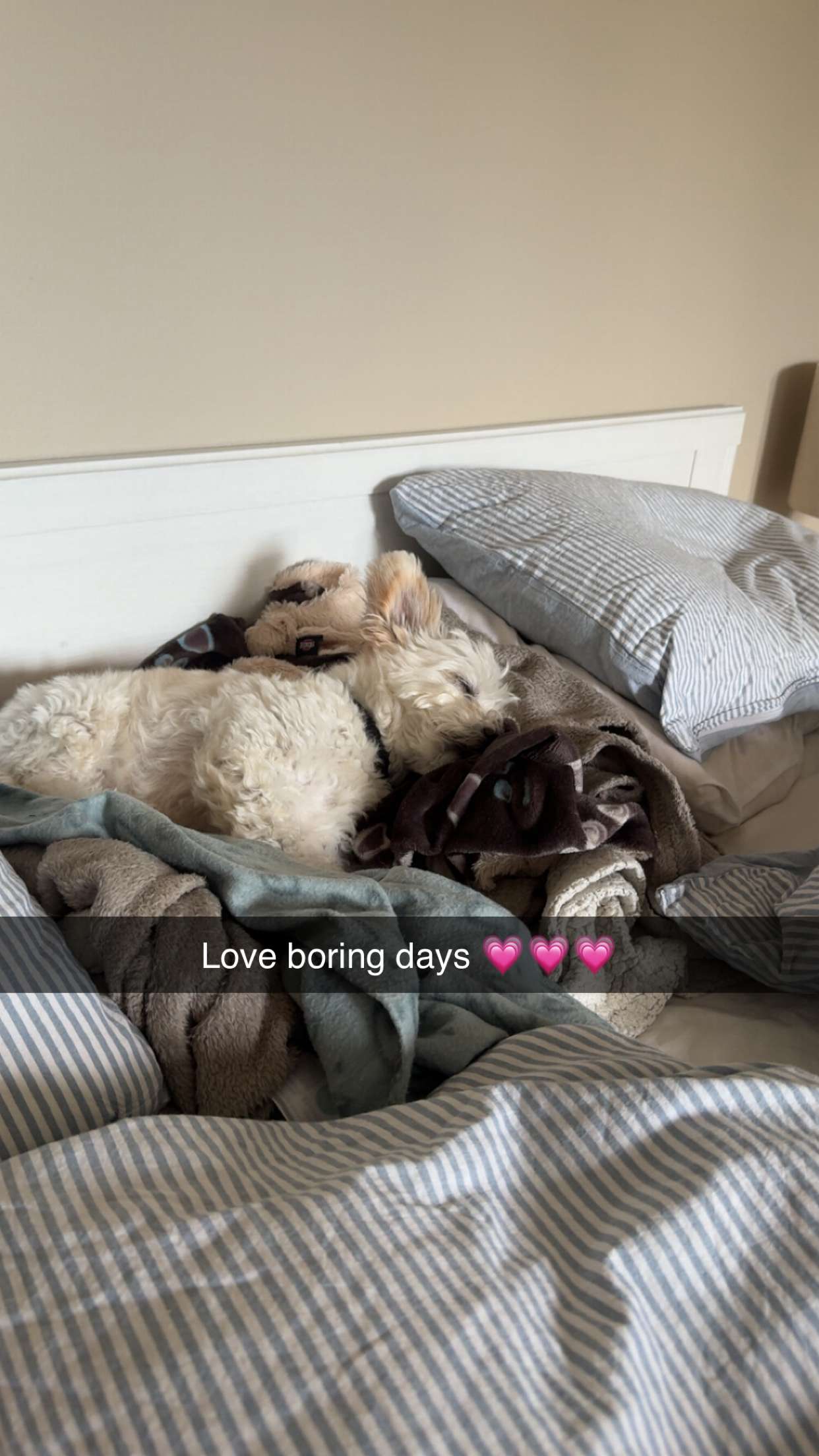 mathilda_bergs snapchat image archive image