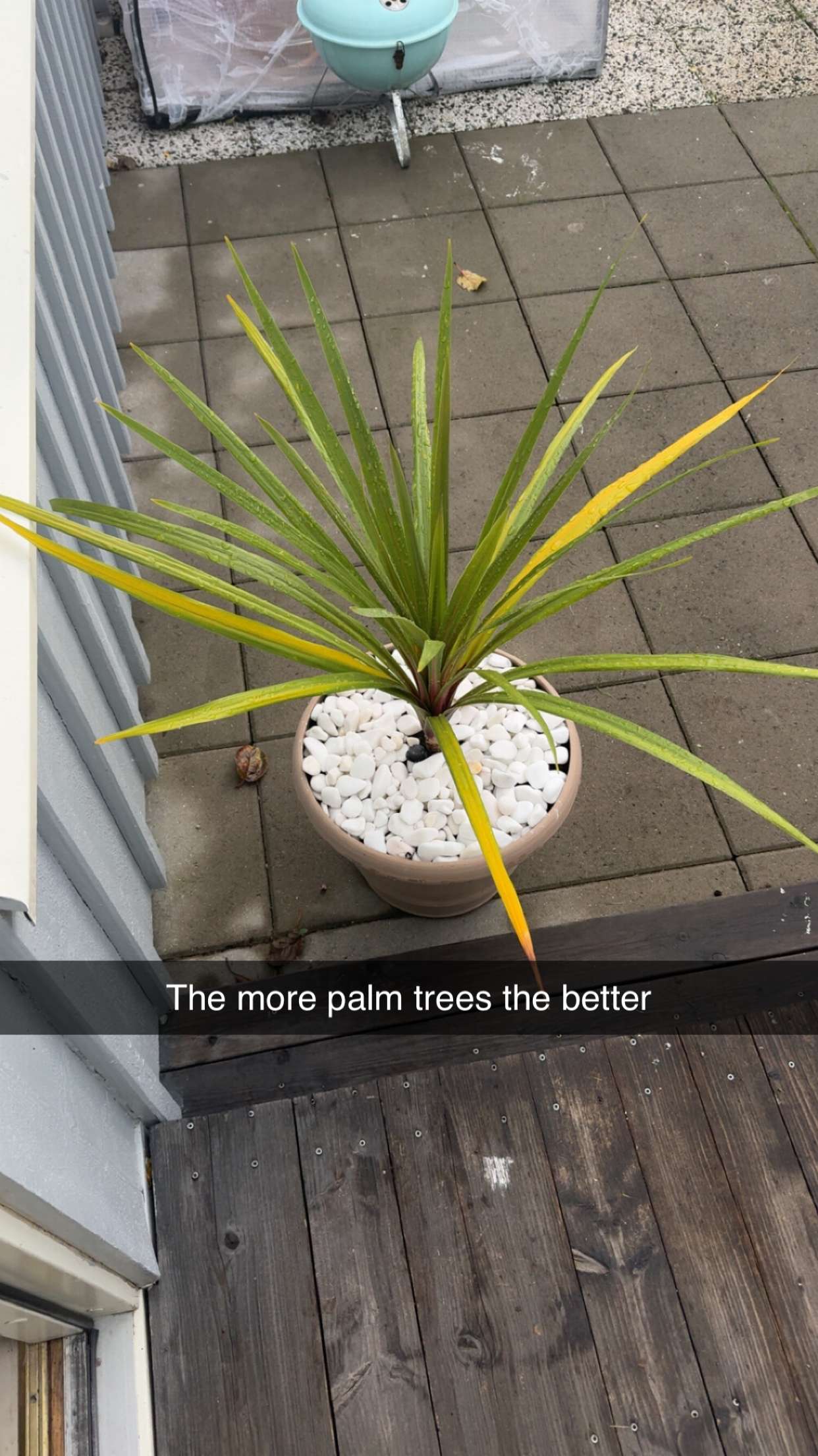 mathilda_bergs snapchat image archive image