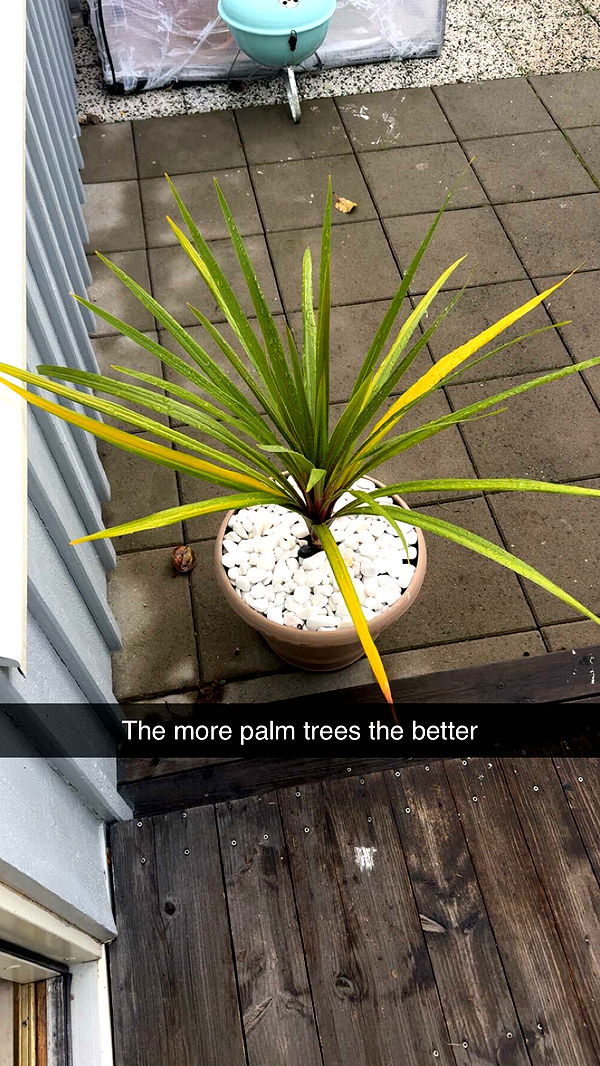 mathilda_bergs image ~ Altpins