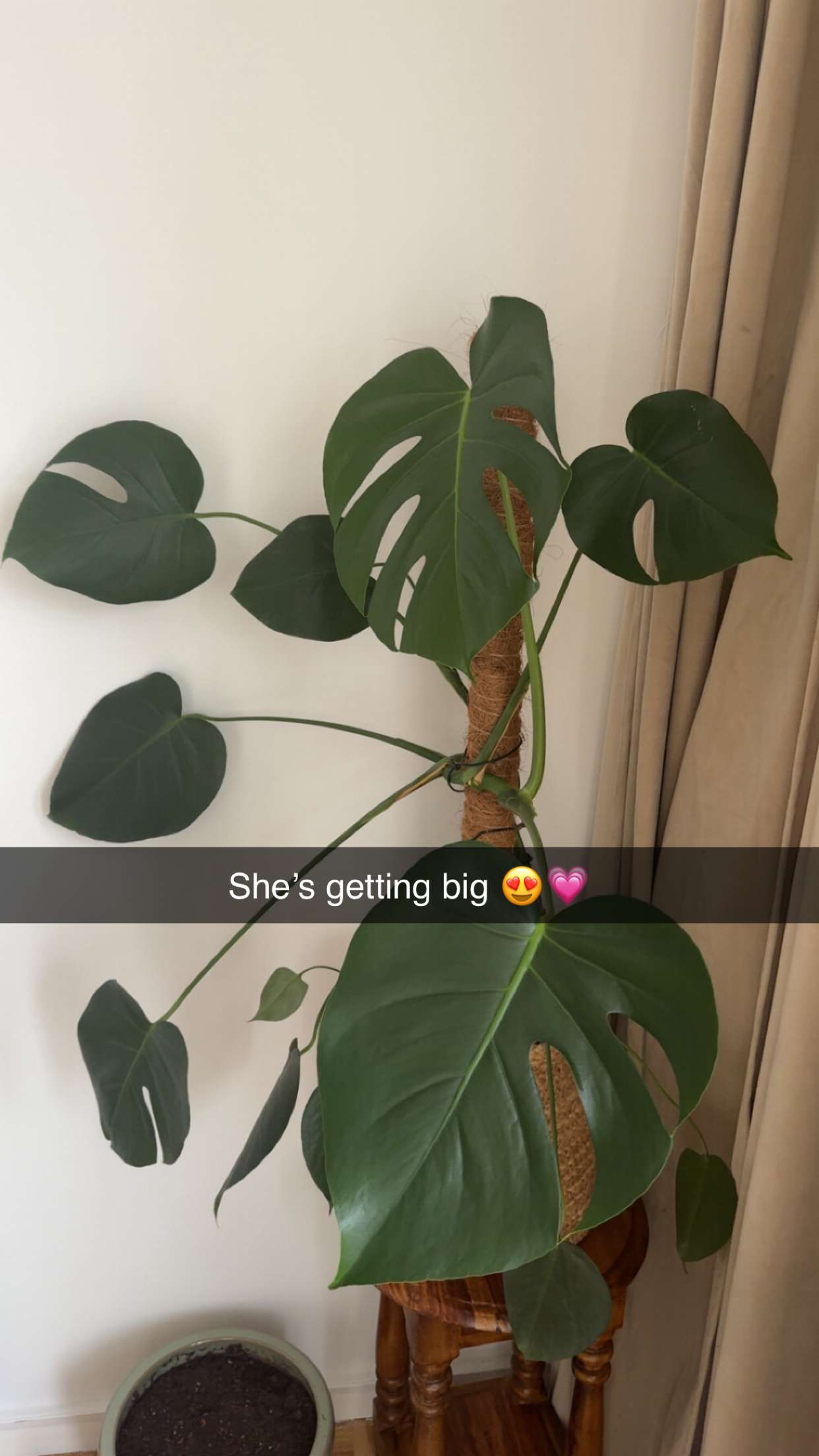 mathilda_bergs snapchat image archive image