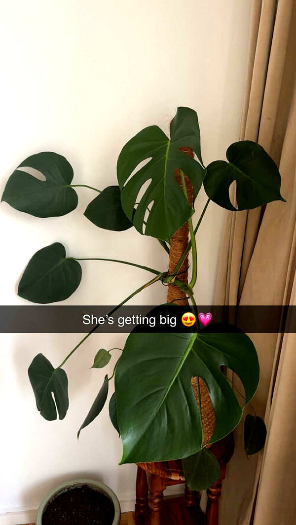 mathilda_bergs image ~ Altpins