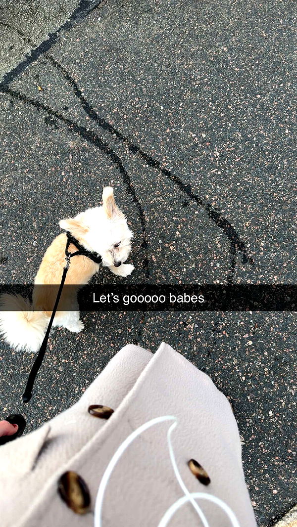 mathilda_bergs image ~ Altpins