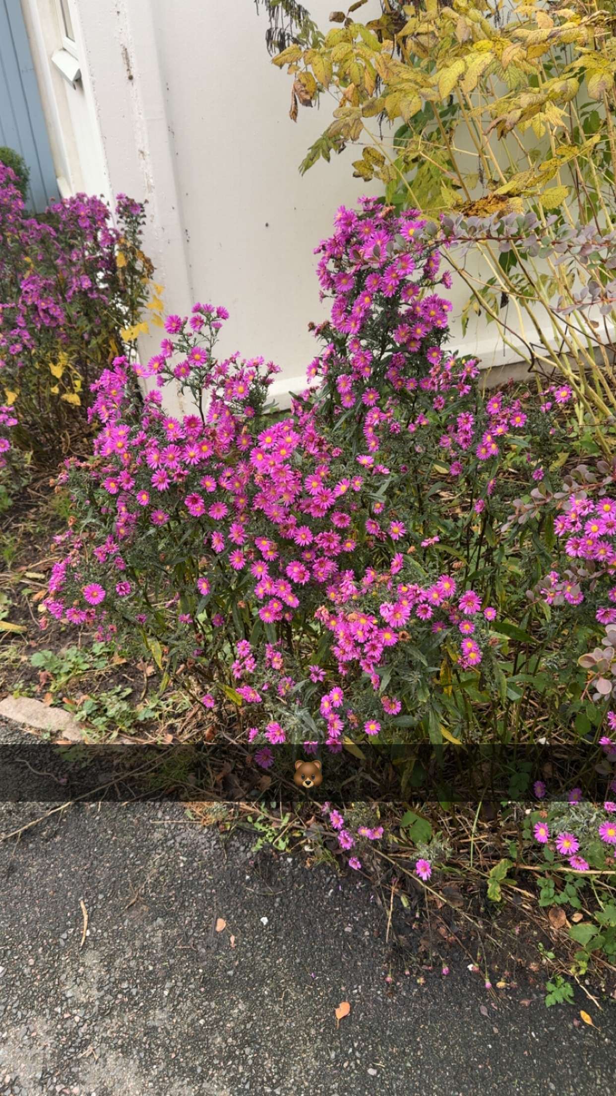 mathilda_bergs snapchat image archive image