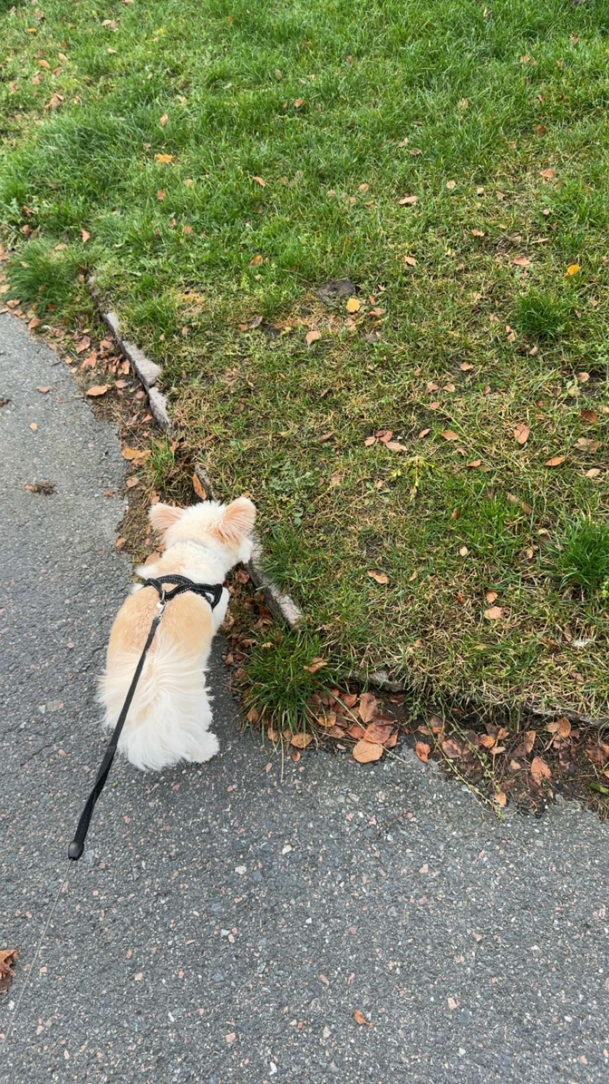 mathilda_bergs snapchat image archive image