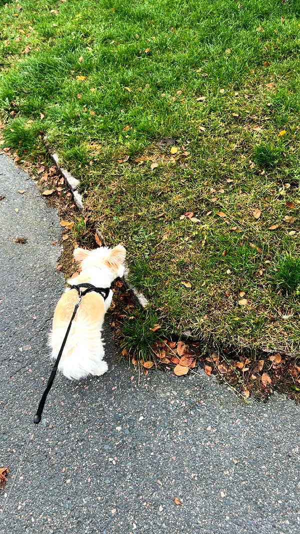 mathilda_bergs image ~ Altpins