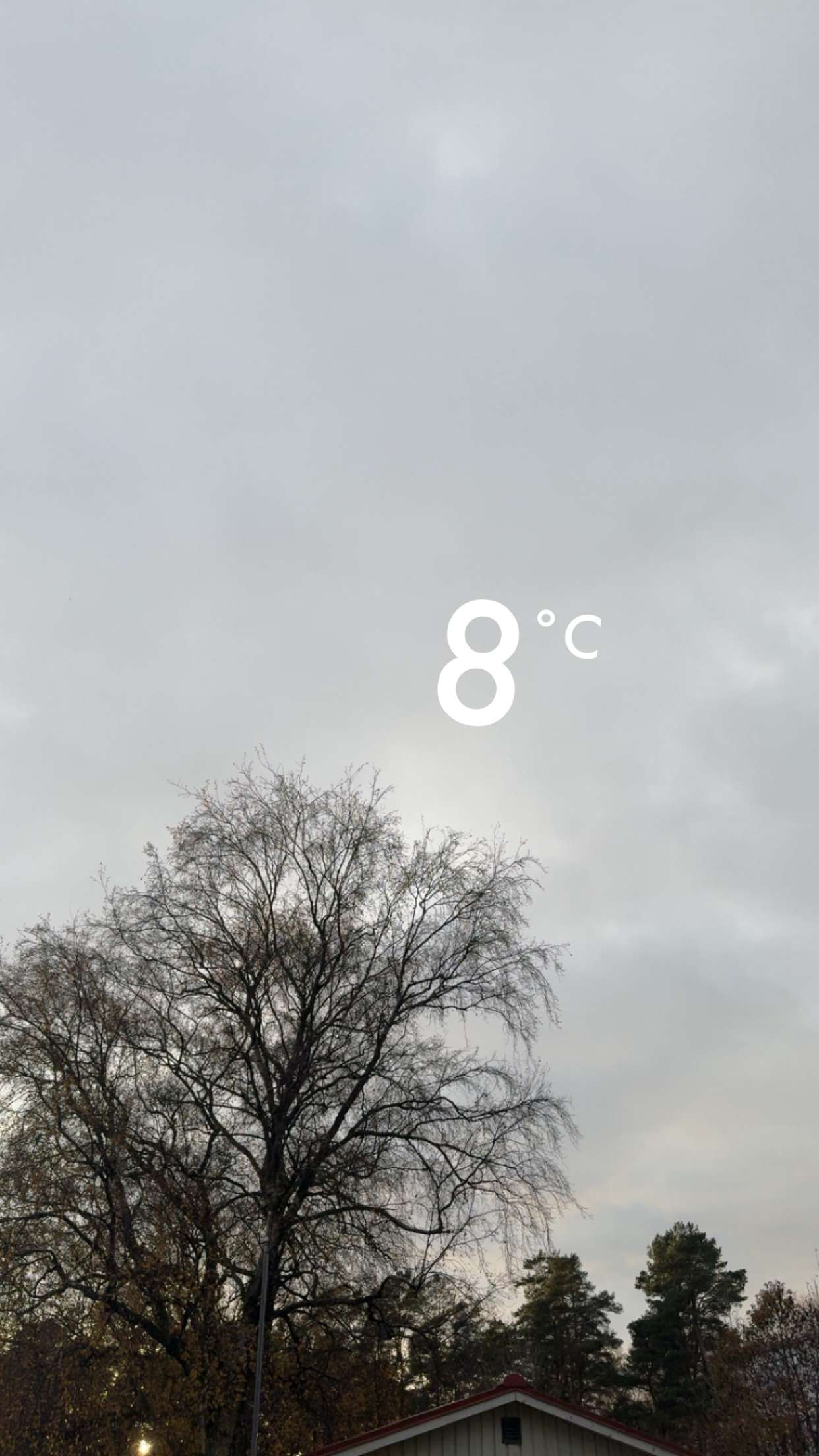 mathilda_bergs snapchat image archive image