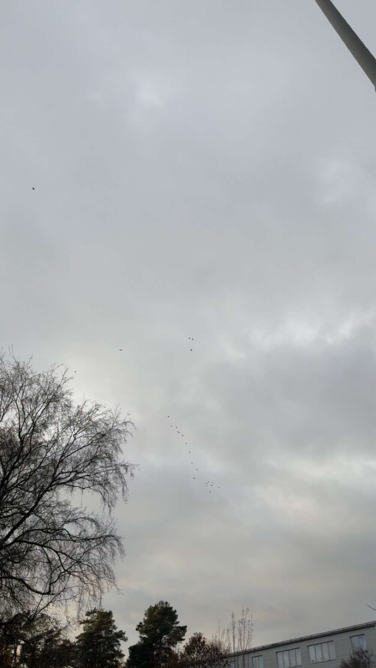 mathilda_bergs snapchat image archive image