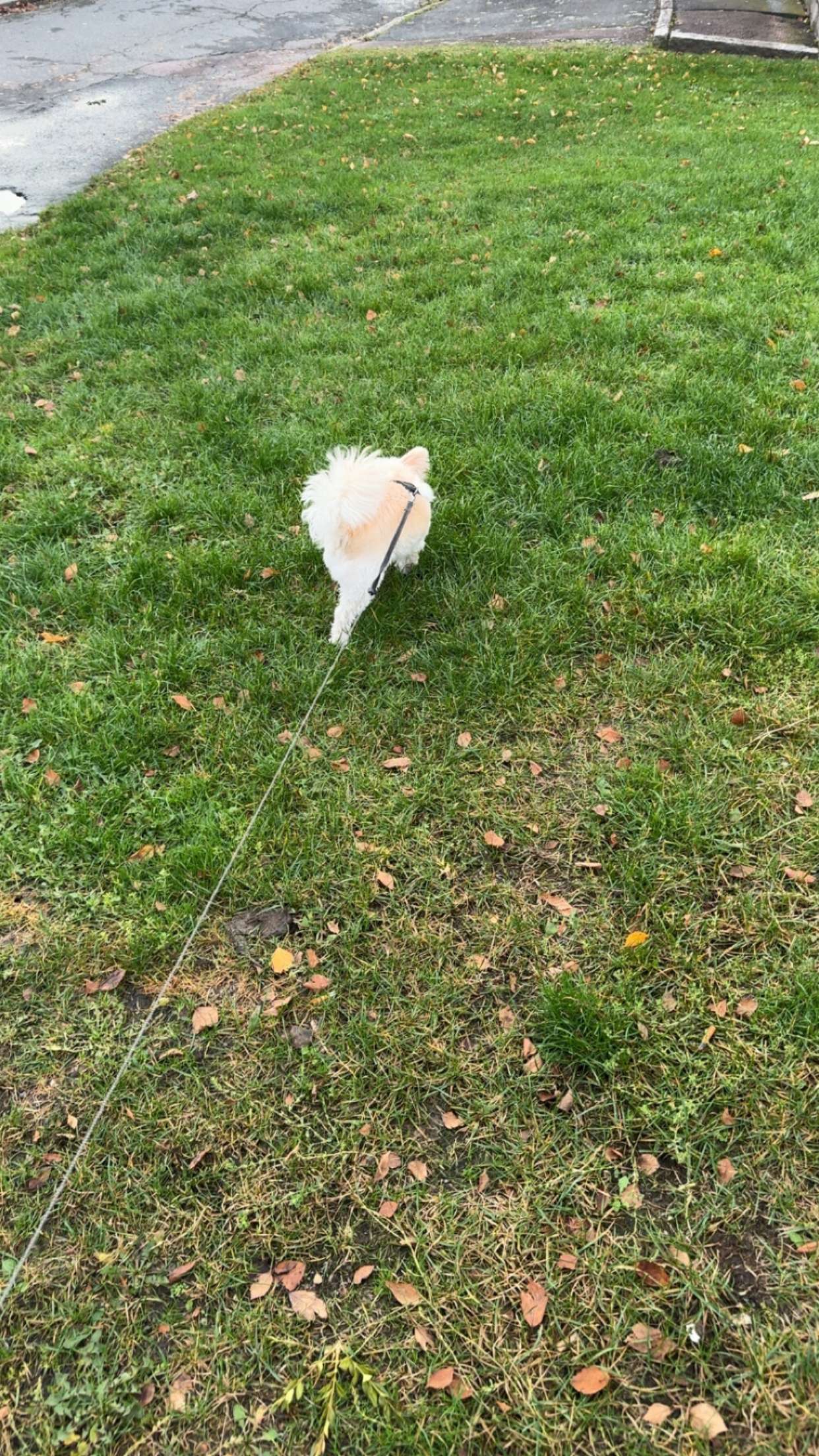 mathilda_bergs snapchat image archive image