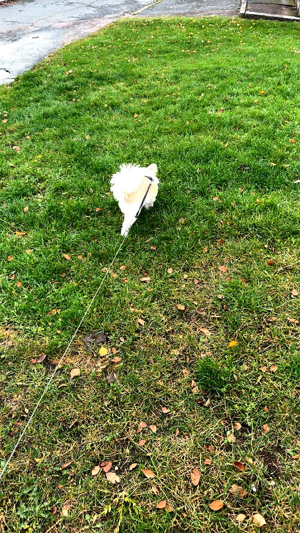 mathilda_bergs image ~ Altpins