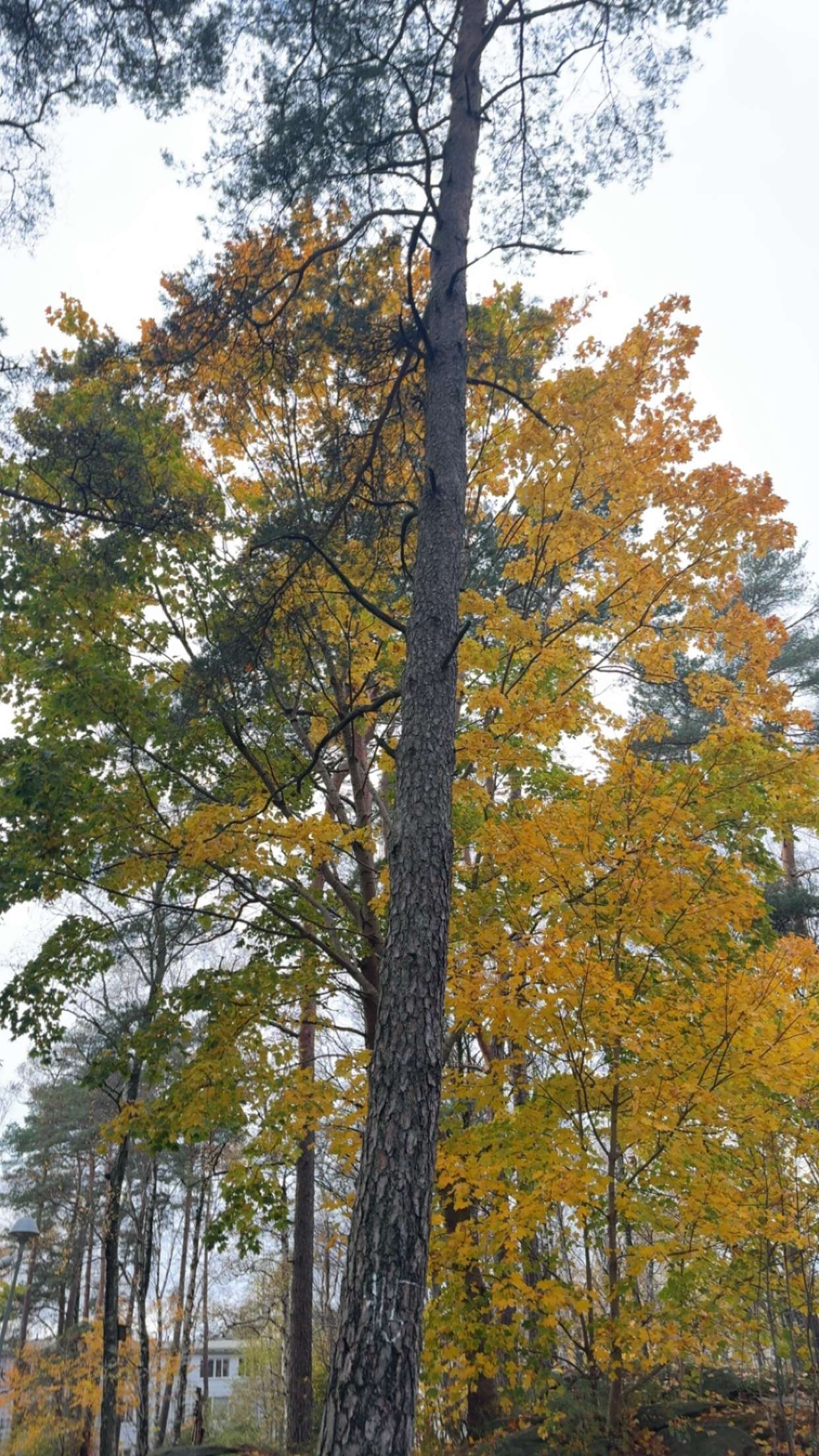 mathilda_bergs snapchat image archive image