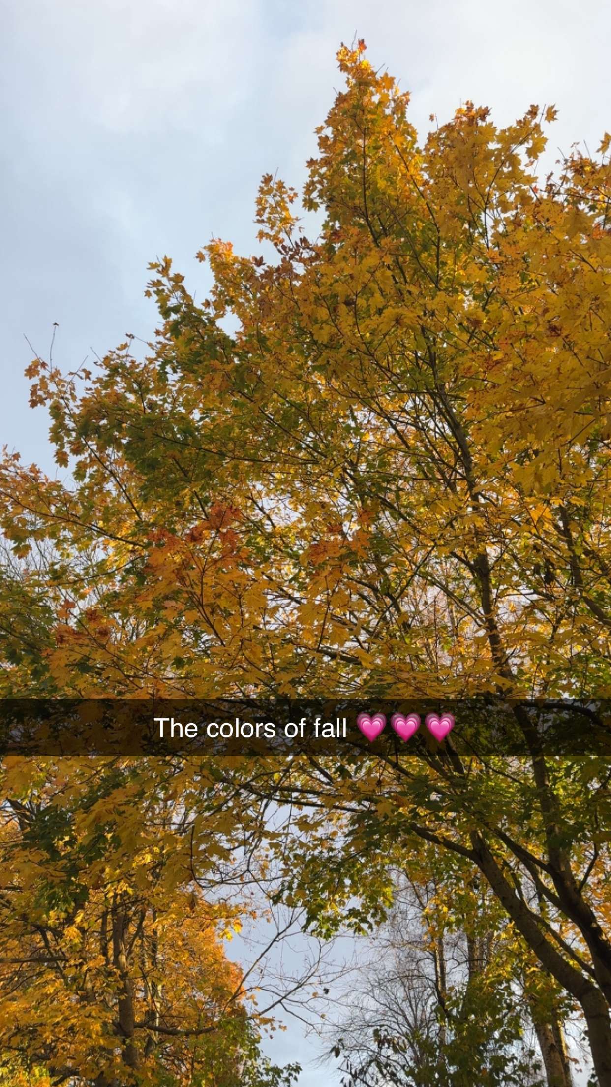 mathilda_bergs snapchat image archive image