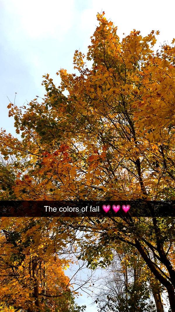 mathilda_bergs image ~ Altpins