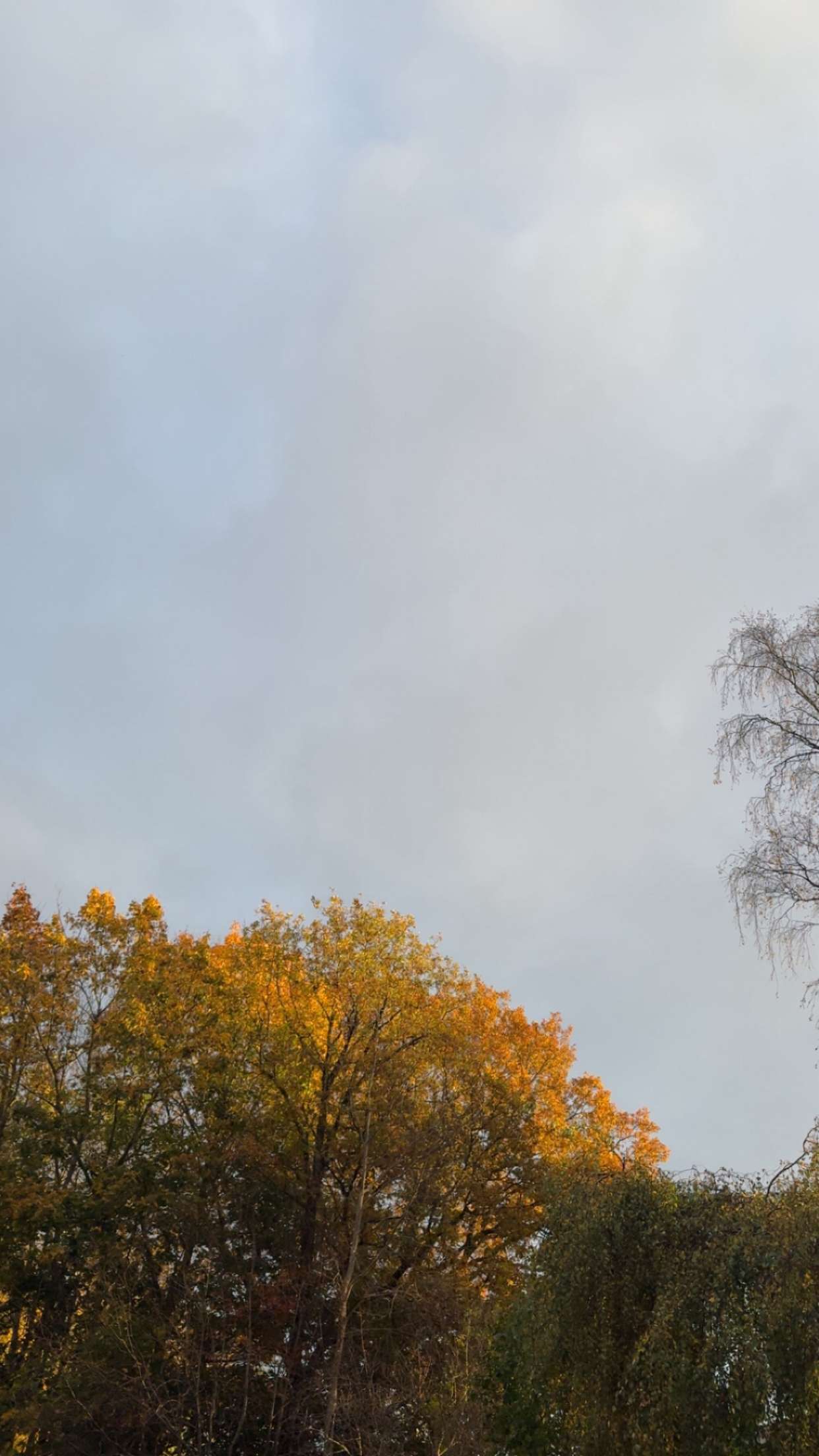 mathilda_bergs snapchat image archive image