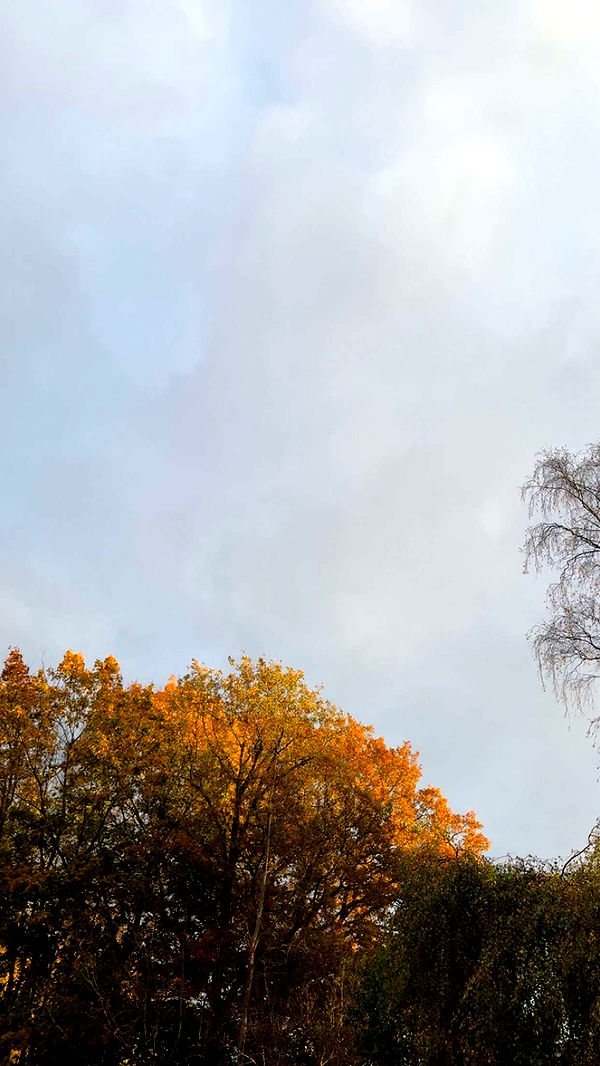 mathilda_bergs image ~ Altpins