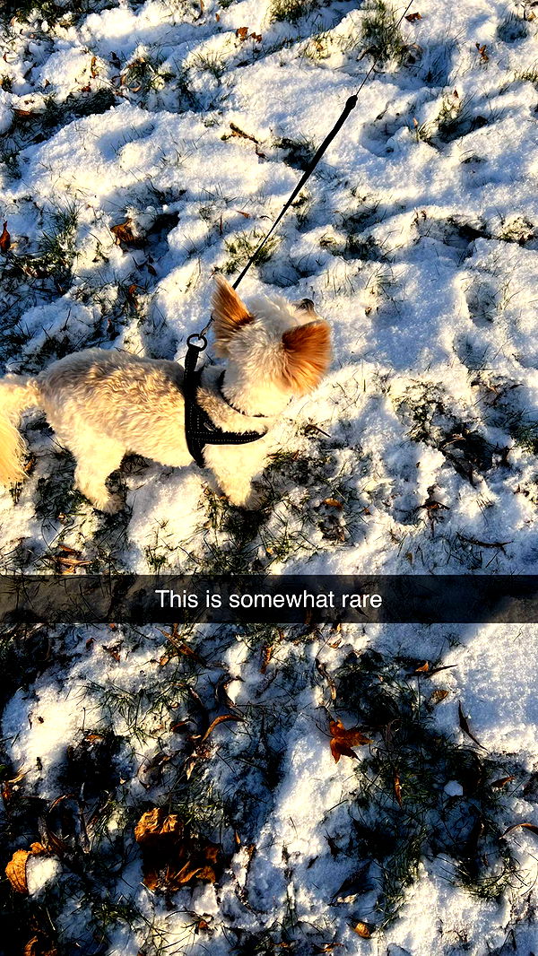 mathilda_bergs image ~ Altpins